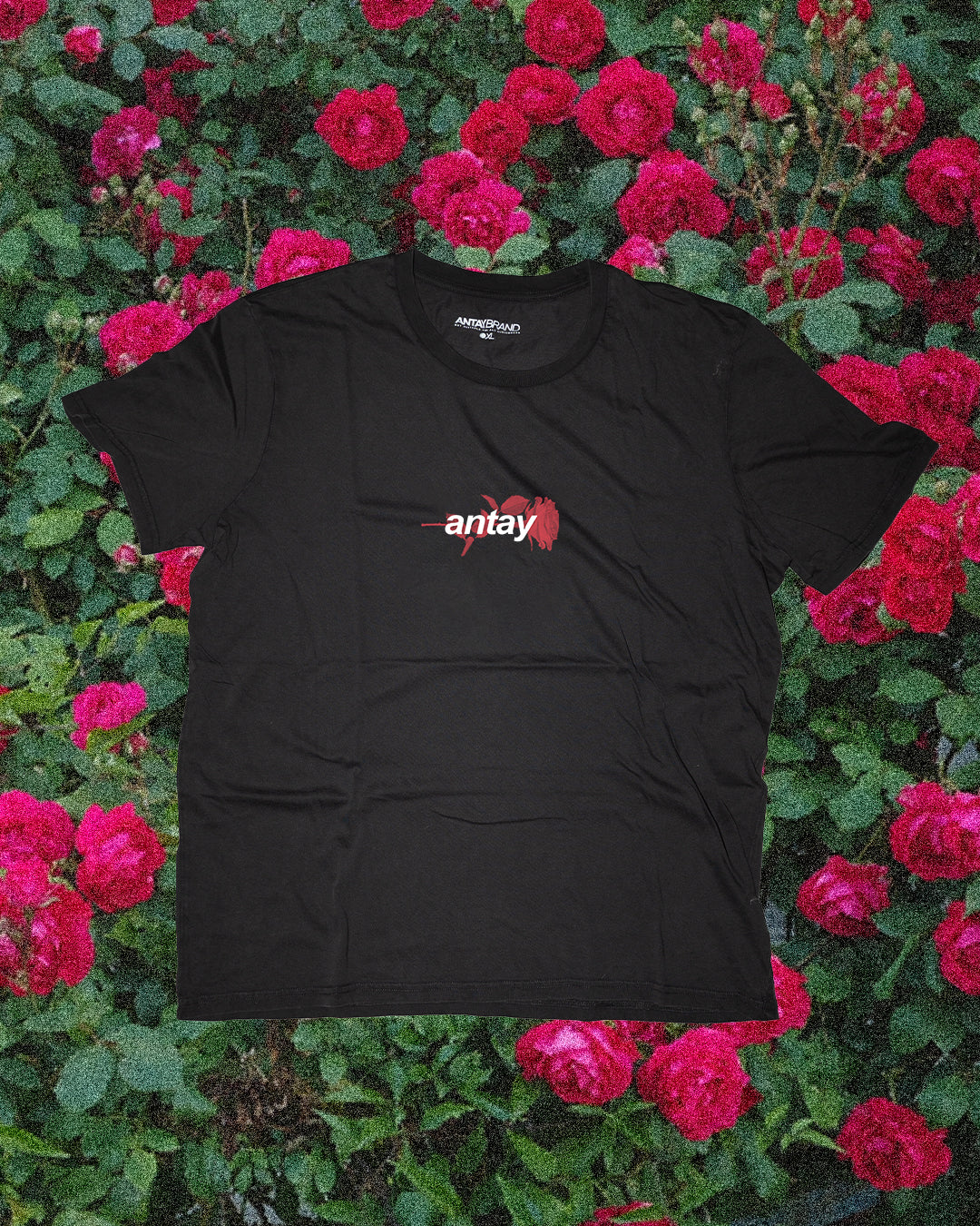 ROSE T-SHIRT // BLACK