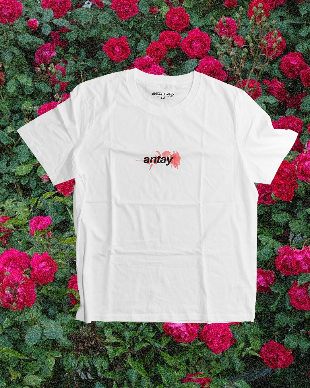 ROSE T-SHIRT // OFF WHITE