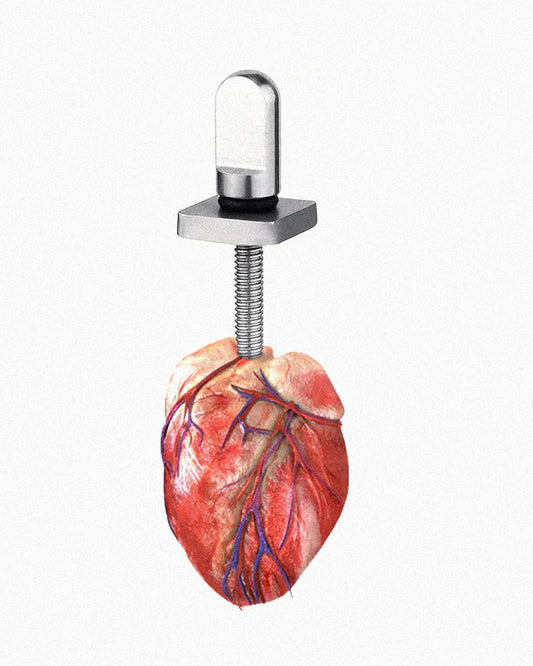 FINBOLT