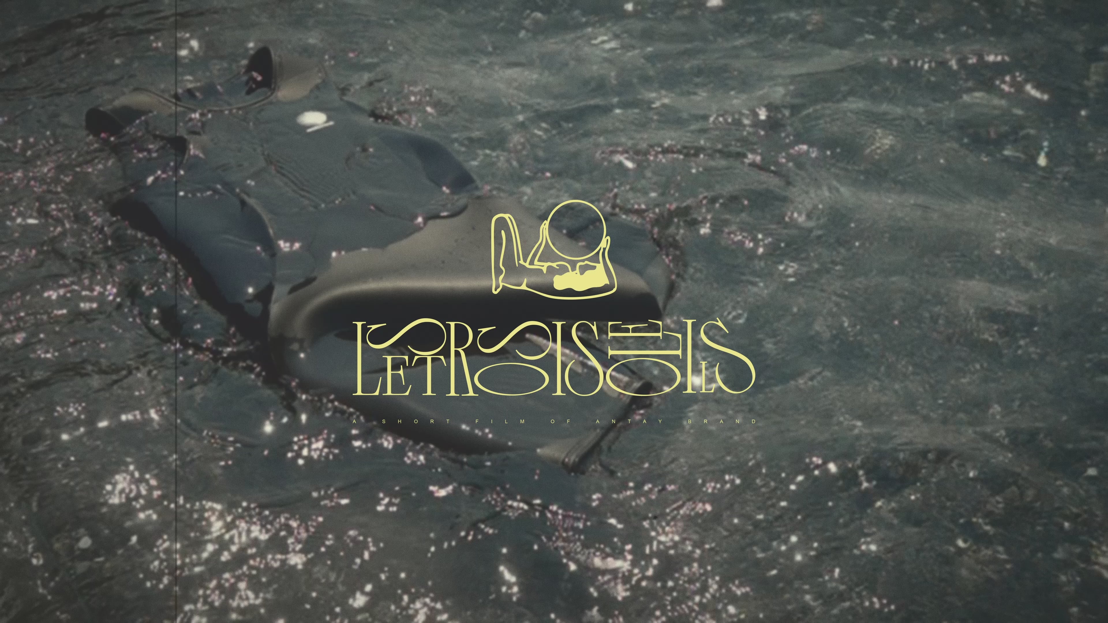 Cargar video: 
